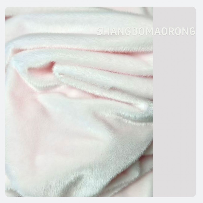 萤火虫公众号555